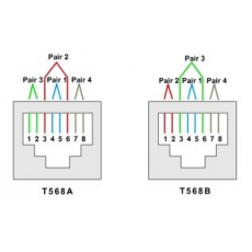 RJ45打頭 網路線接頭 訊號測試/技術支援