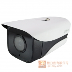 筒型戶外IP66防水鏡 同軸高清1080P  30m紅外線夜視 HD-CVI輸出制式